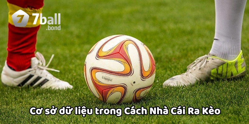 Cơ sở khi Nhà Cái Ra Kèo