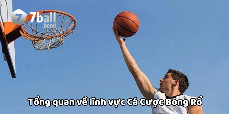 Tổng quan về Cá Cược Bóng Rổ