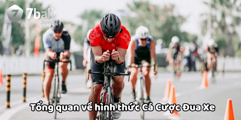 Tổng quan về Cá Cược Đua Xe